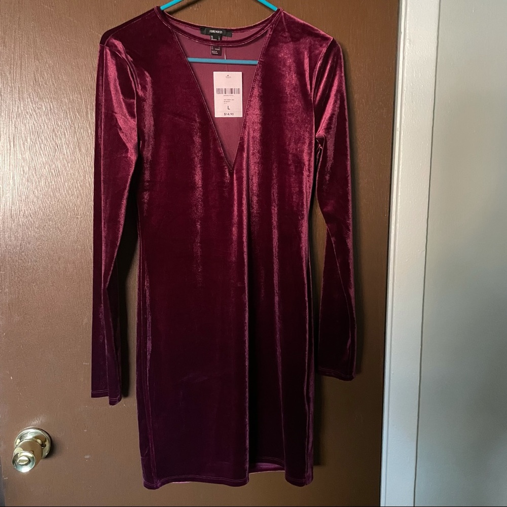 BWT Burgundy Velvet Dress